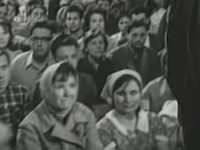   (1963)