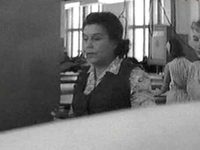   (1965)