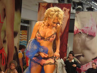    (2010)