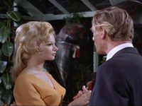  (1961)
