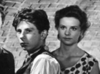  (1954)