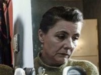   (2017)