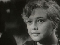   (1964)