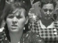  ...   (1966)