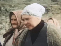   (1987)