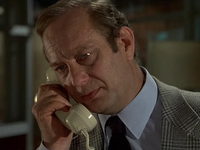  (1981)