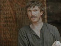   (1981)