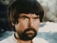    (1981)