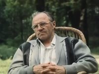    (1981)