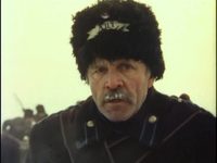   (1981)