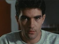  (1986)