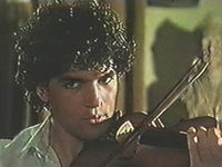    (1987)