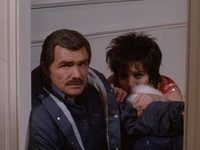    (1987)