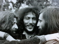    (1981)