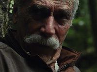,        (2018)
