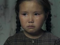   (2017)