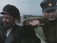   (1993)