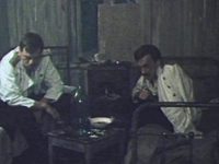  (1982)