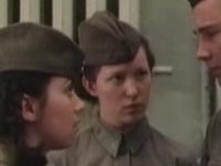  (1981)