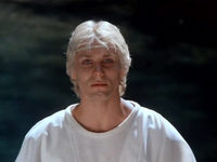   (1986)
