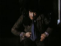   (1991)