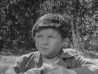   (1963)