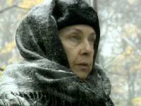   -7 (2005)
