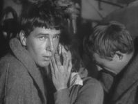  (1965)