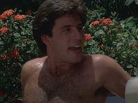   (1984)