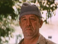      (1987)