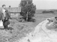   (1973)