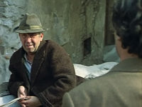   (1991)