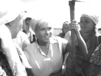    (1964)