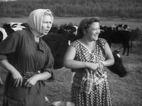  (1961)
