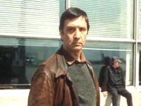 ˸  (1986)