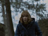   (2019)