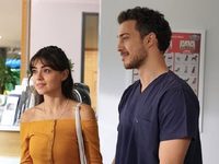   (2019)