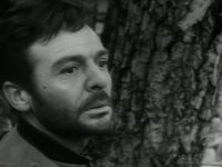   (1964)