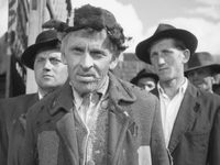   (1954)