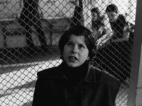 ,  (2001)