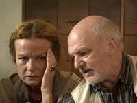  -6 (2013)