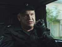 .    (2017)