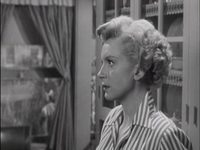      (1953)