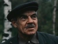     (1991)
