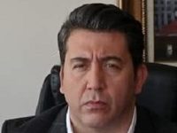  (2019)