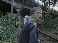     (2013)