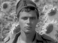     (1964)