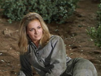   (1968)