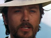    (1971)