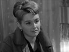   (1966) -  2